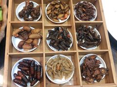-昆虫窝子·特色云南菜(拓东路总店)