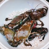歇马夜市