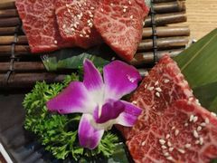 -丸藏和牛烧肉专门店(园区师惠坊店)