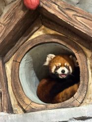 -Zoolung Zoolung动物主题公园(海信广场店)