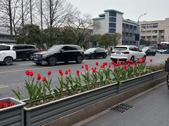 -浙江大学(玉泉校区)