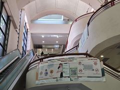 -香港大学