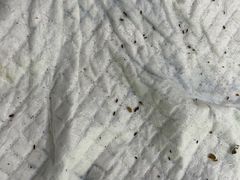 -艾贝尔宠物诊疗