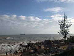 -广东惠东海龟国家级自然保护区
