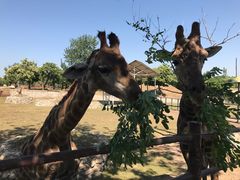 -西安秦岭野生动物园