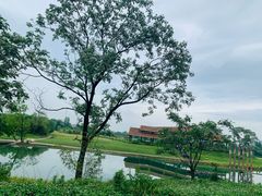 -良渚古城遗址公园