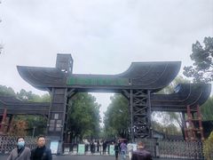 -溱湖国家湿地公园