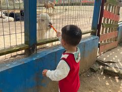 -武汉紫薇都市田园