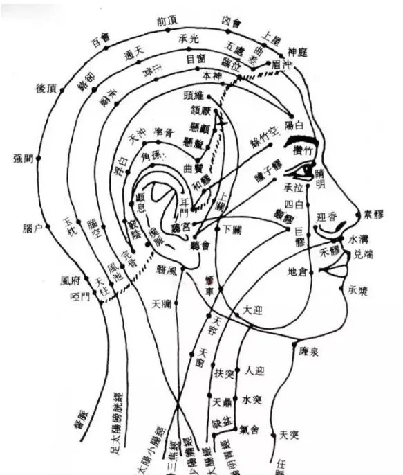 头部胆经 位置图图片