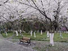 -范蠡湖公园