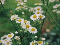 -洋湖国家湿地公园