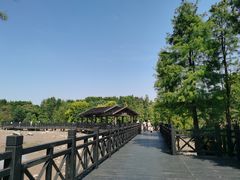 -海珠湖公园