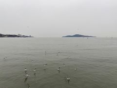 -幸福门