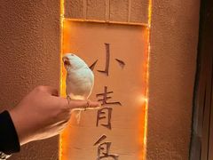 -青岛海滨风景区