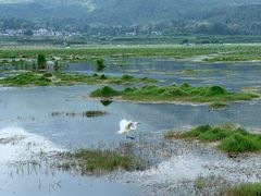-腾冲北海湿地
