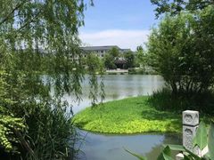 -乌镇景区