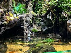 -太平洋海底世界