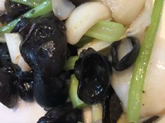 -蒲园食堂(中山大学广州校区南校园店)