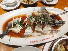 -丹江渔村(望京店)