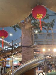 -卡通尼·Safari非洲探索乐园·生日会(金桥国际商业广场店)