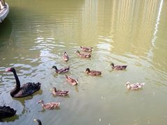 -花果园湿地公园