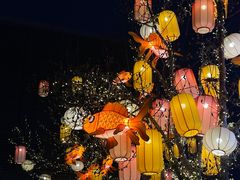 -龙湖星悦荟(颐和店)