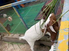 -美的鹭湖探索王国