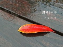-滆湖低碳生态公园