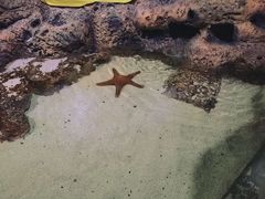 -海合安武汉极地海洋公园