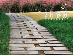 -重庆中央公园(渝北区)