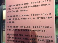 -猫咪博物馆(顶澳仔猫街店)