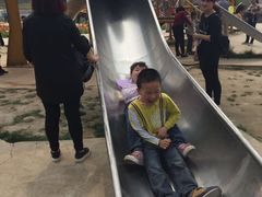 -绵阳盛世樱花悠乐谷