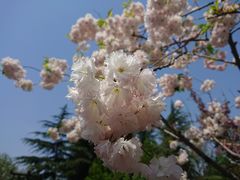 -木塔寺遗址生态公园