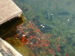 -水磨沟公园