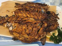 -丽泽山庄·生态怀柔菜·虹鳟鱼(红螺寺店)