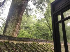 -兴福老面馆(寺路街店)