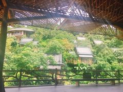 -海南槟榔谷黎苗文化旅游区
