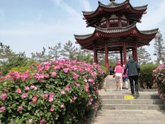 -大慈恩寺(大雁塔)
