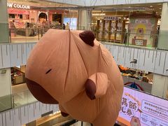 -凯德MALL(西直门店)