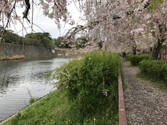 -名古屋城