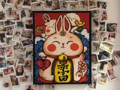 -三花喵·撸猫购宠·宠物生活馆(虹桥南丰城店)