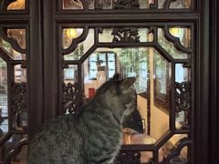-西园寺素食(西园弄戒幢律寺店)