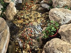 -清真·京华源铜锅涮肉(丰庆店)