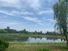 -泗洪洪泽湖湿地景区