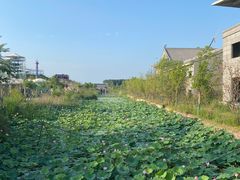 -朱仙镇启封故园景区