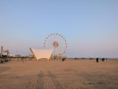 -奉贤海滩