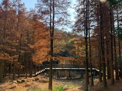 -宝界山林公园