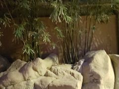 -竹吟山房
