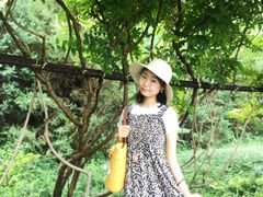 -永定河休闲森林公园