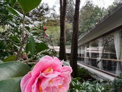 -广州市白云山风景名胜区